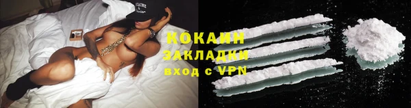 ГАЛЛЮЦИНОГЕННЫЕ ГРИБЫ Аркадак