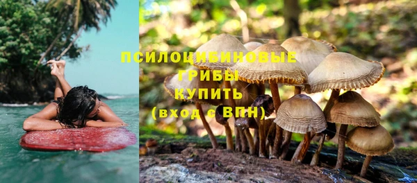 спайс Арсеньев