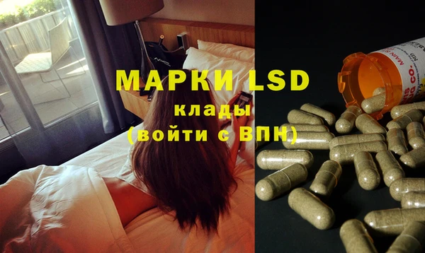ГАЛЛЮЦИНОГЕННЫЕ ГРИБЫ Аркадак