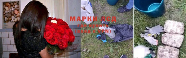 ГАЛЛЮЦИНОГЕННЫЕ ГРИБЫ Аркадак